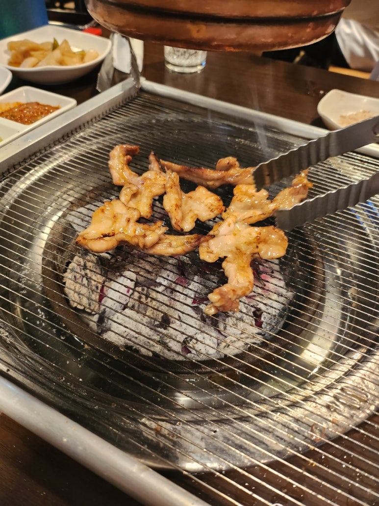 통고집거제 이미지