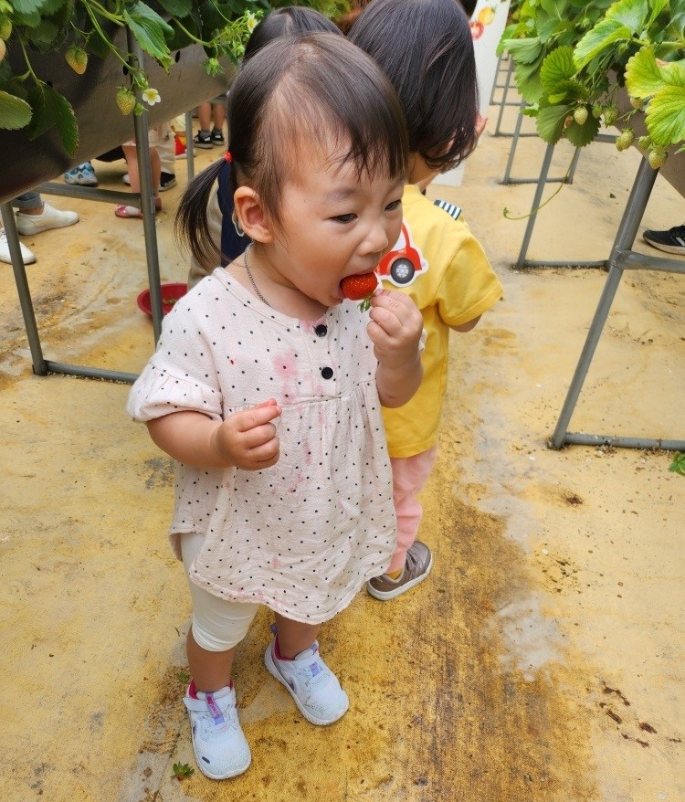 꽃뫼농원 이미지