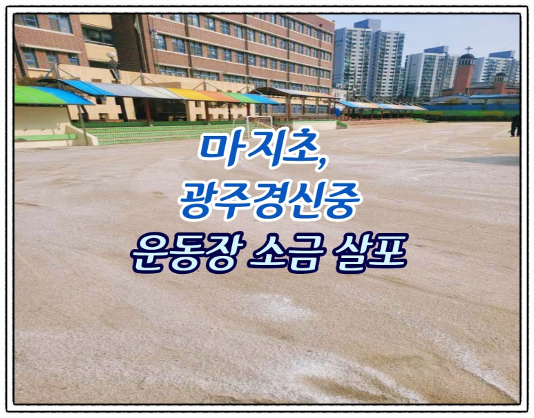 우리체육사 이미지