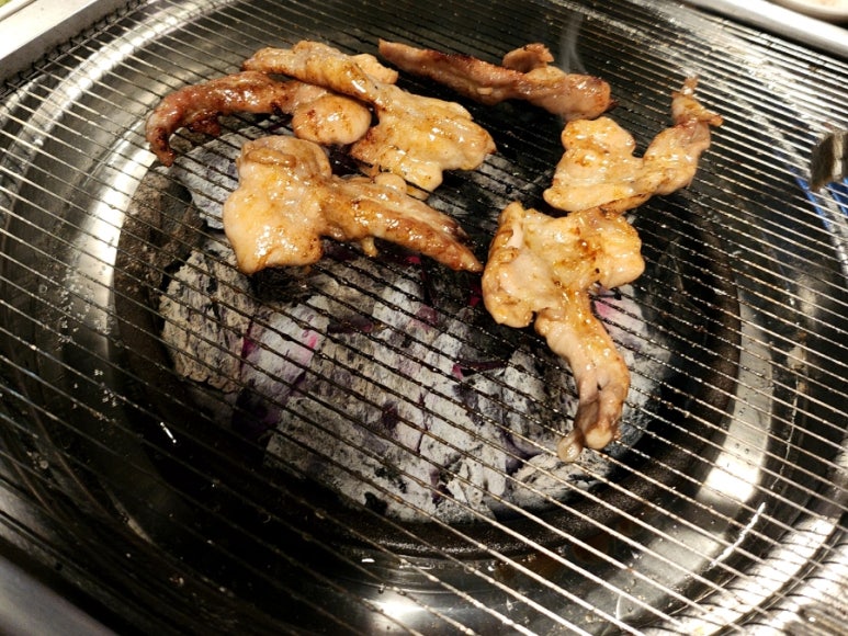 통고집거제 이미지