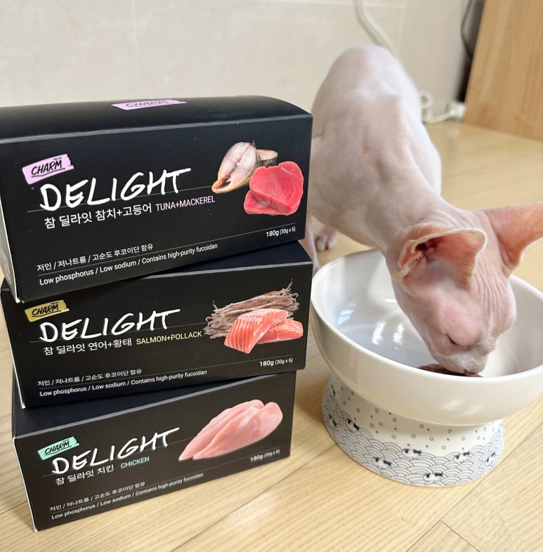 무스테일 이미지