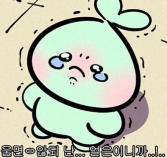 고려자동차 이미지