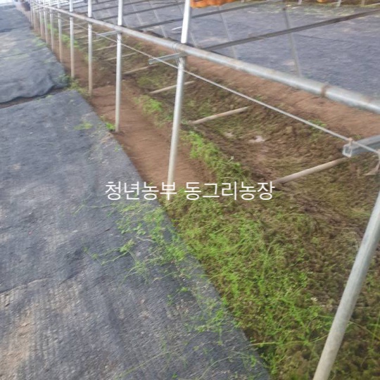 동그리농장 이미지