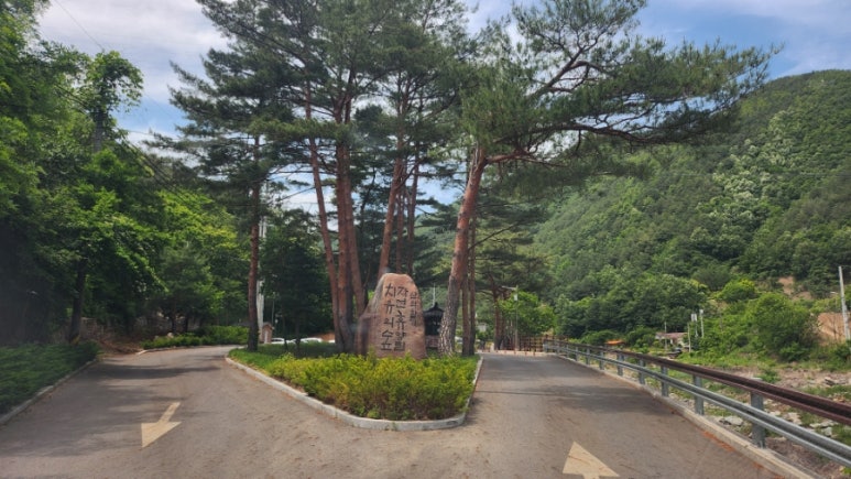 삼척 활기 치유의 숲 이미지
