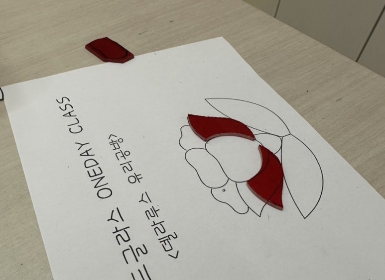 델라루스 이미지