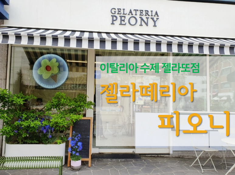 젤라떼리아피오니 이미지