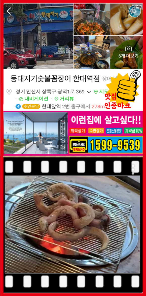 등대지기꼼장어 이미지