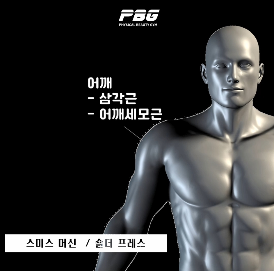 피티스미스 이미지
