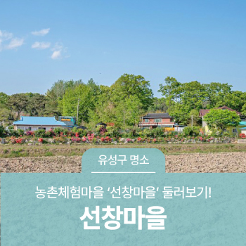 선창농촌체험휴양마을 이미지