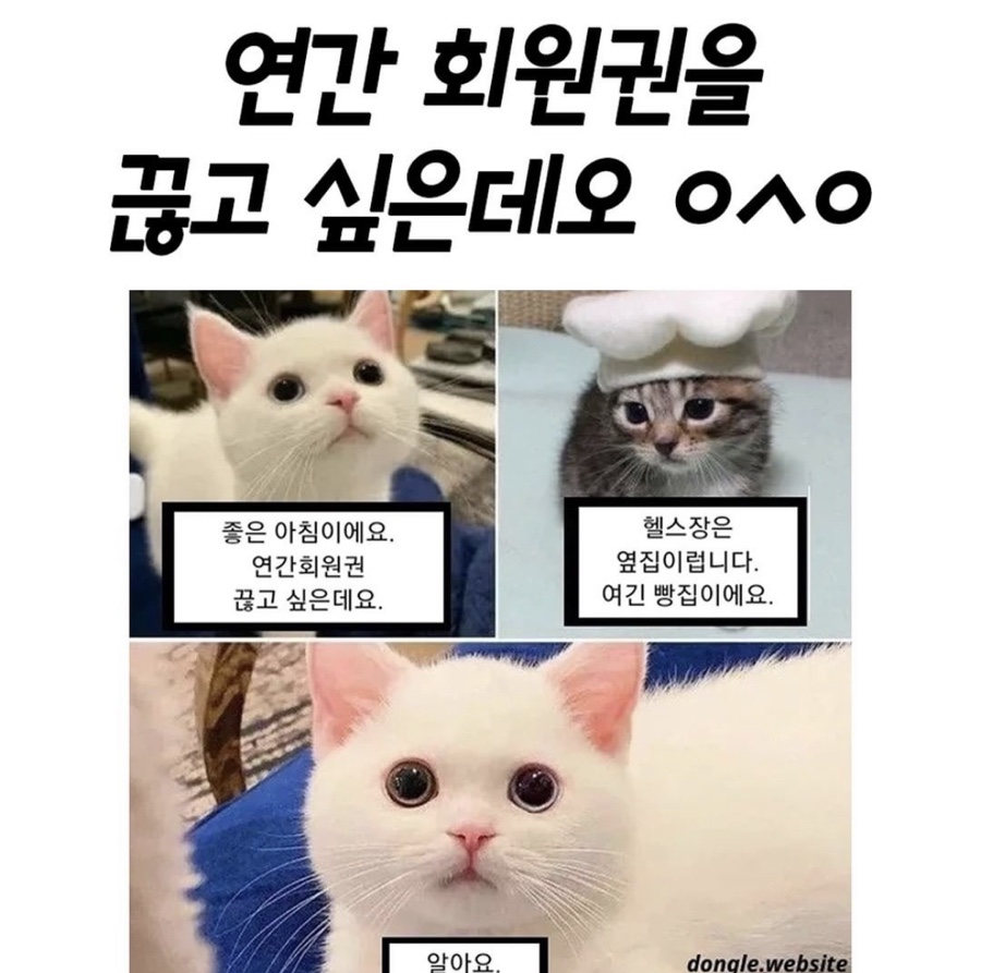 시청칼국수 이미지