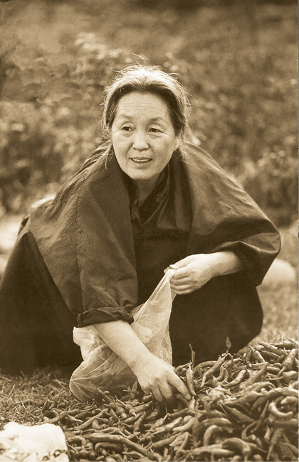 서문이발소 이미지