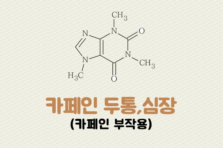 바른PT스튜디오 이미지