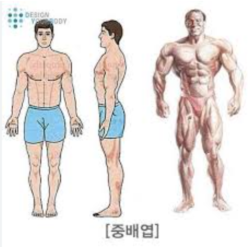 피트인피트니스 이미지