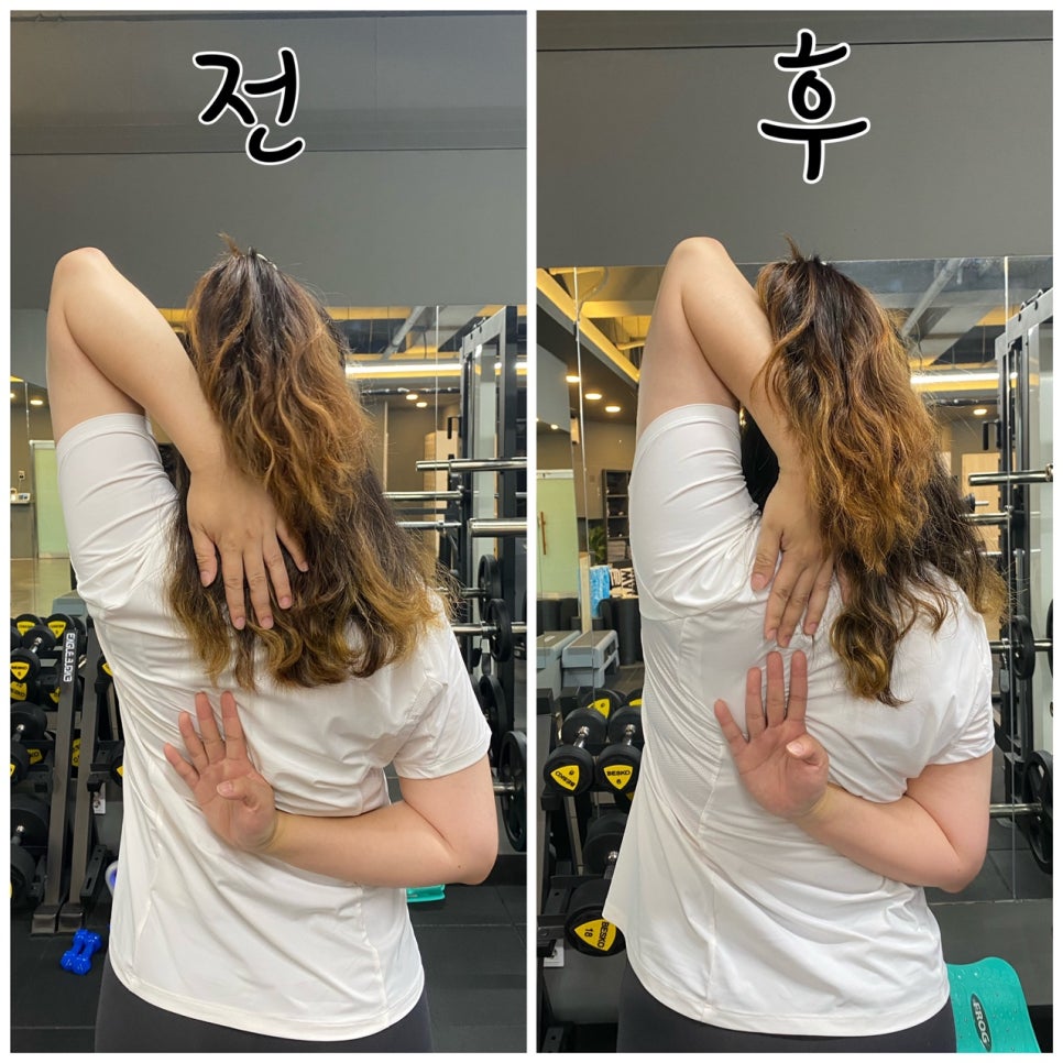 투펄슨 이미지