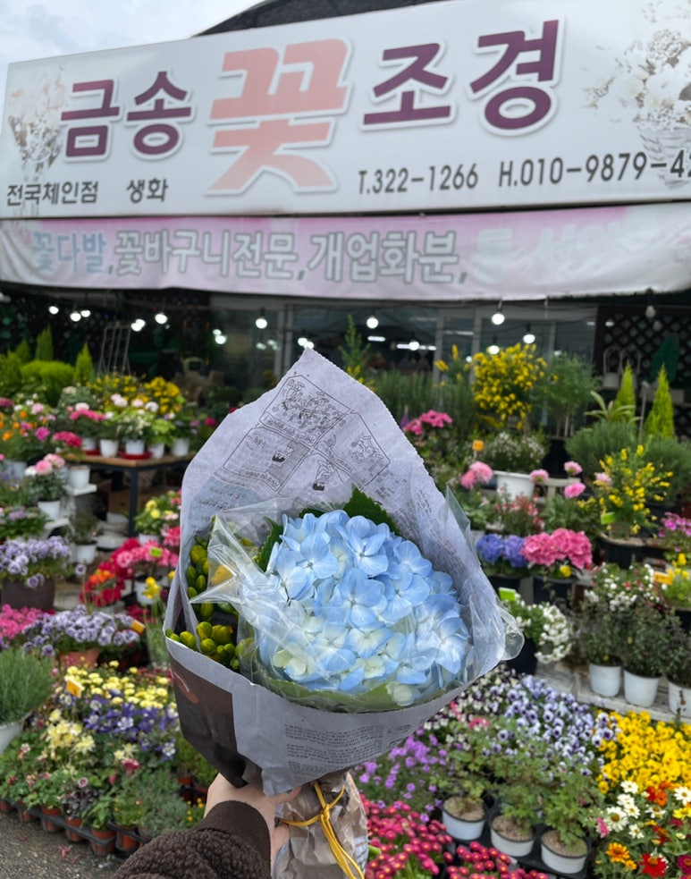 금송조경원 이미지