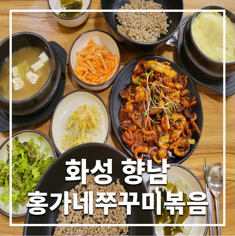 홍가네쭈꾸미볶음 이미지