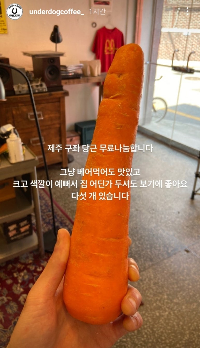 언더독커피 이미지