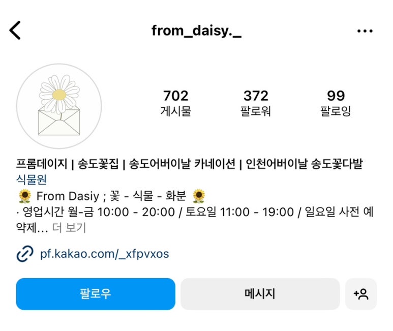 프롬데이지 이미지