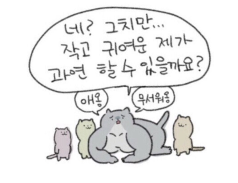 먼치스 이미지