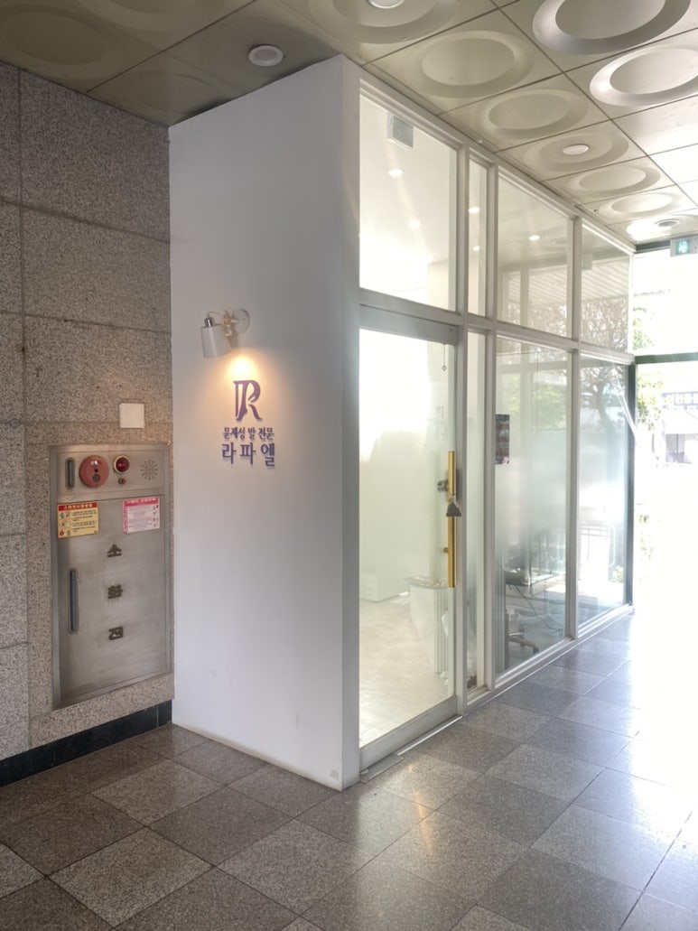 이천문제성발전문#라파엘 이미지