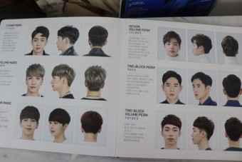 강북에이스애견미용학원 이미지