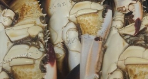 봉봉이네수산협동조합 이미지