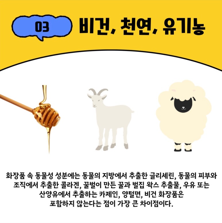 아름다옴 이미지