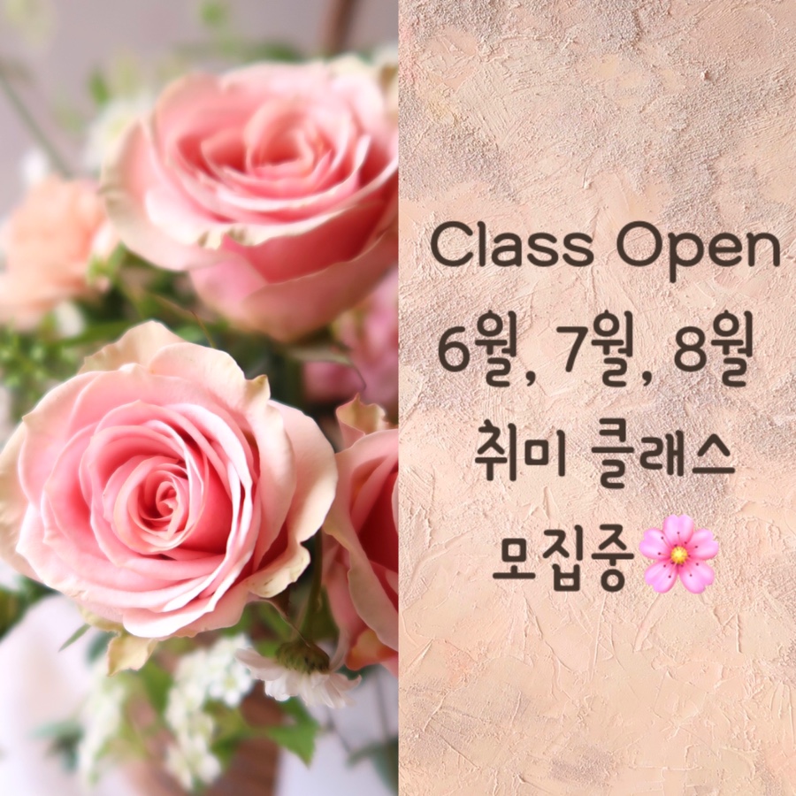 뮤즈플레르 이미지