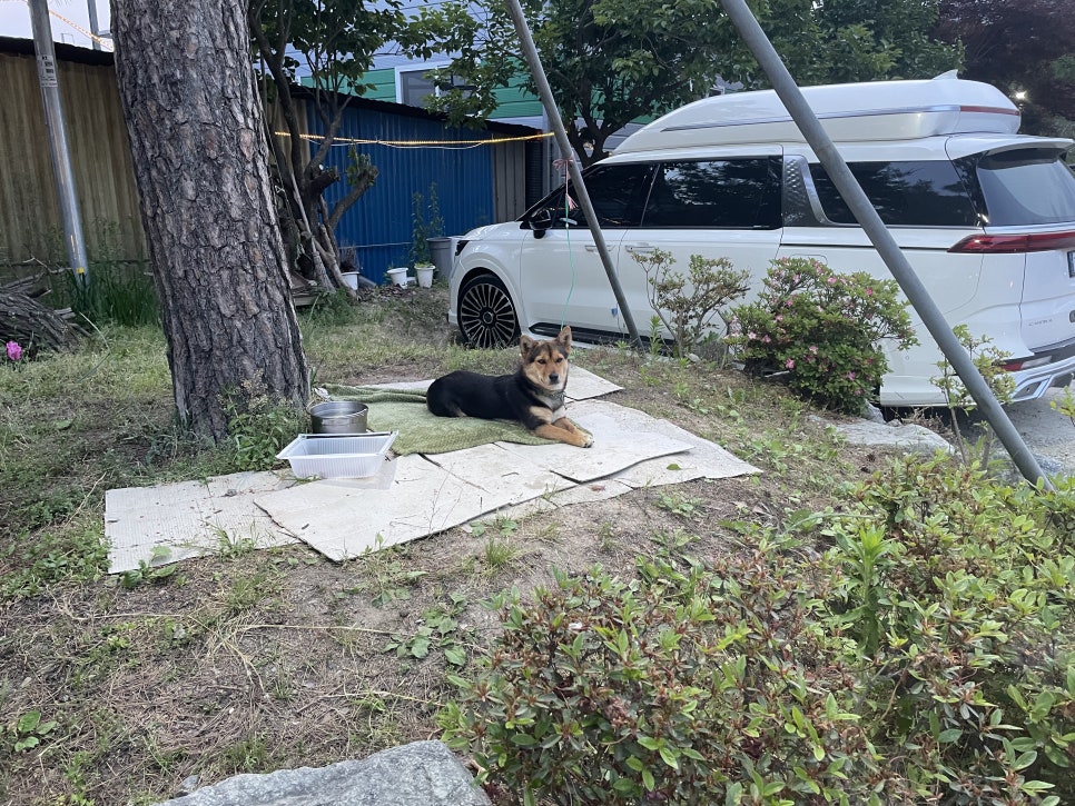 황용주유소 이미지