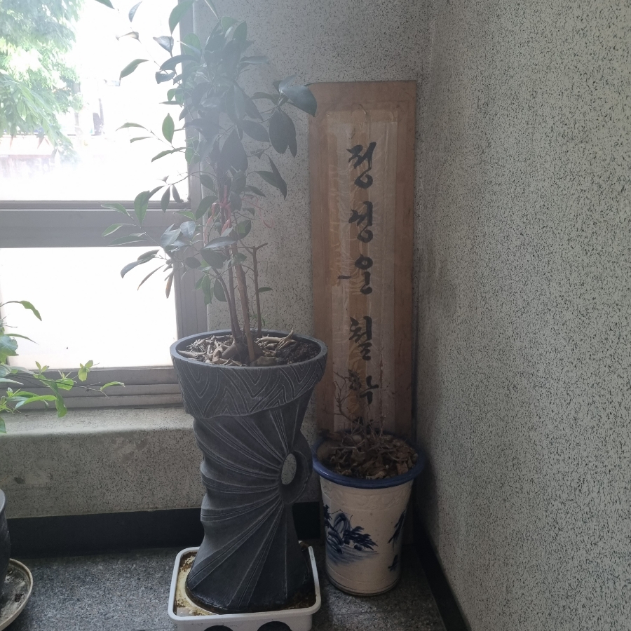 올리비아하슬러청주 이미지
