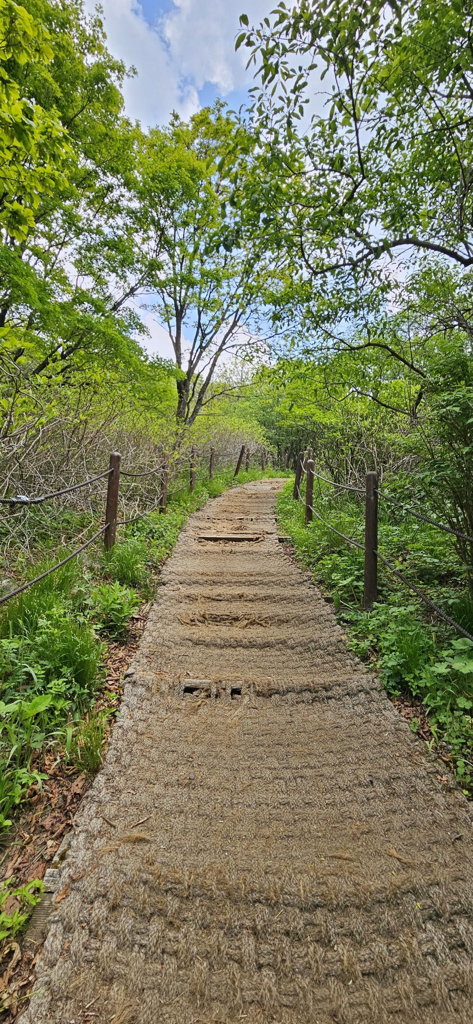 소백산국립공원 천동계곡코스 이미지