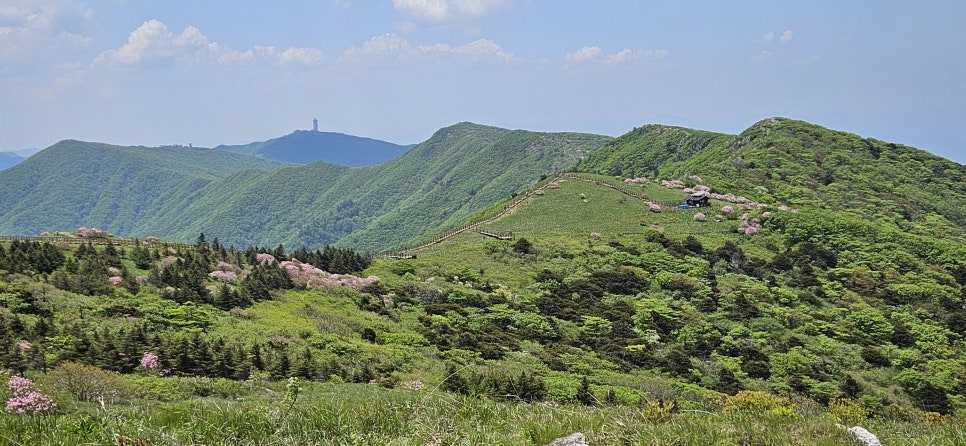 소백산국립공원 천동계곡코스 이미지