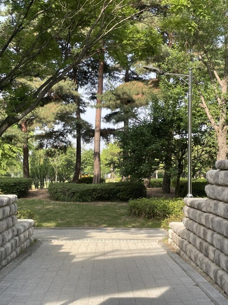 씨디피(CDP) 이미지