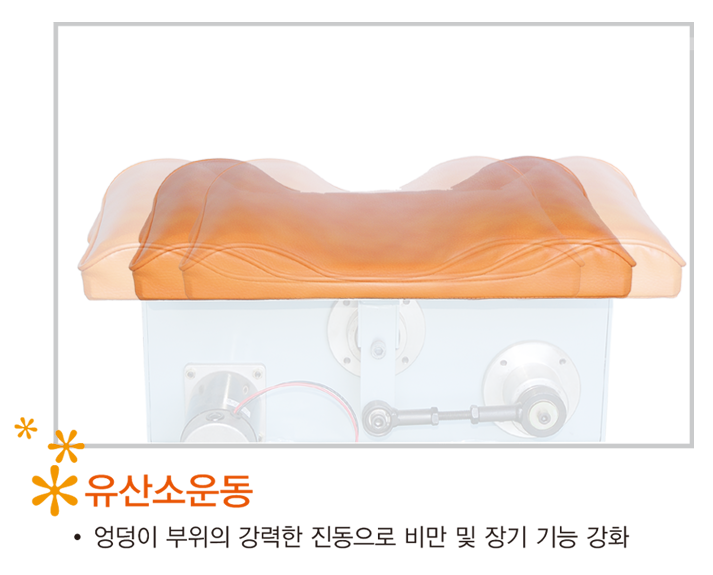 오토칼라 이미지