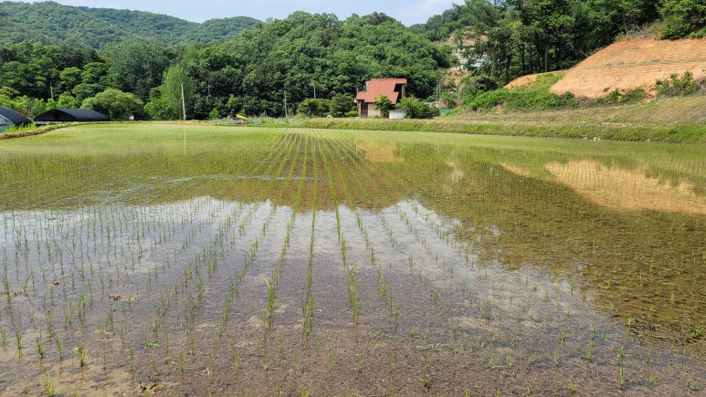 (주)고래실 이미지