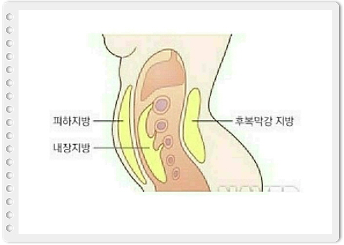 손톱모양 이미지