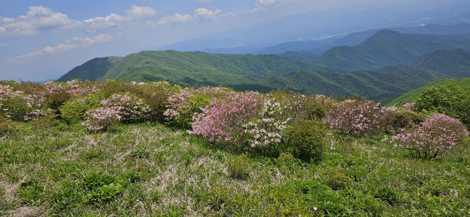 소백산국립공원 천동계곡코스 이미지