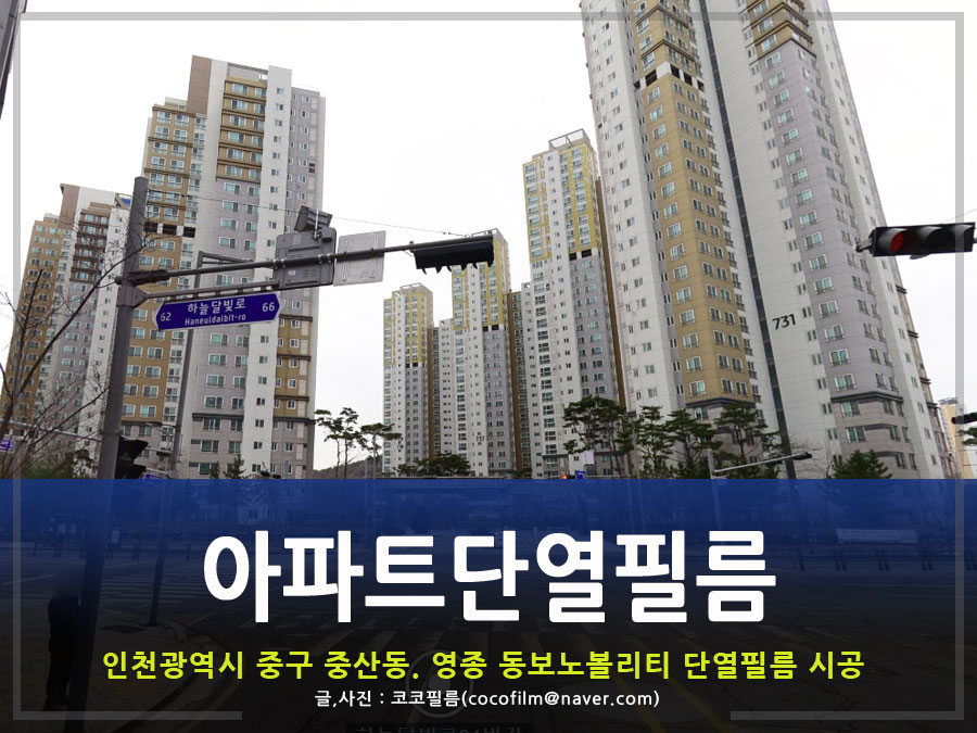 썬가드공식총판코코필름 이미지