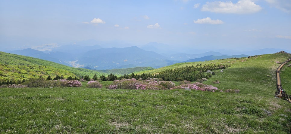 소백산국립공원 천동계곡코스 이미지