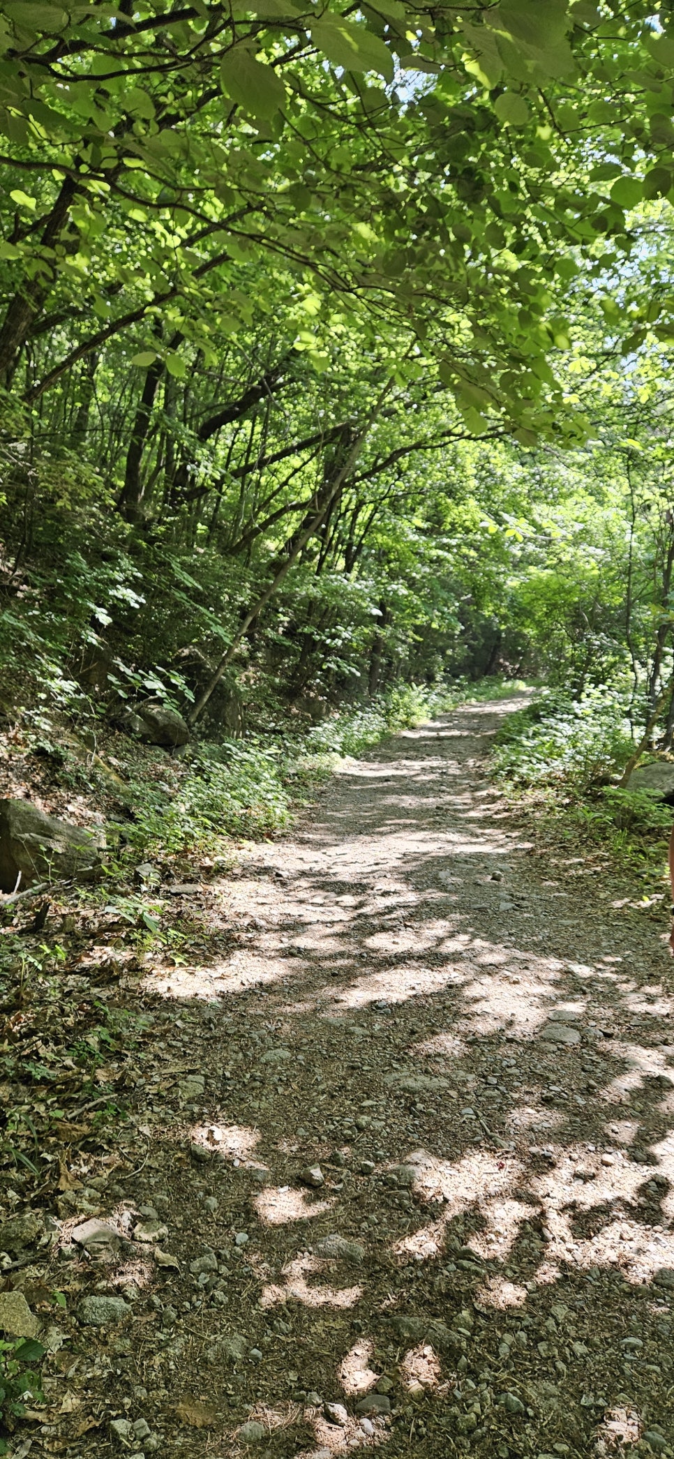 소백산국립공원 천동계곡코스 이미지