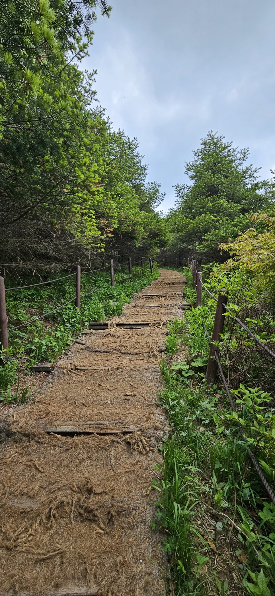 소백산국립공원 천동계곡코스 이미지