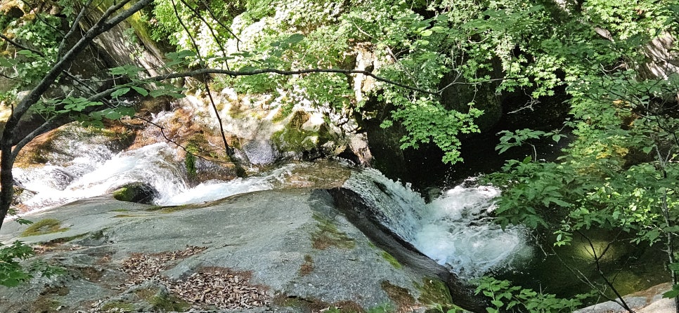 소백산국립공원 천동계곡코스 이미지