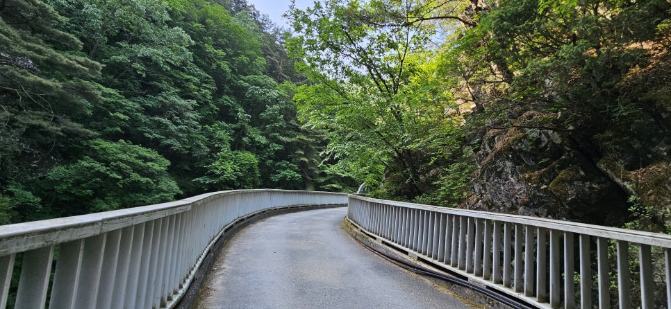 소백산국립공원 천동계곡코스 이미지
