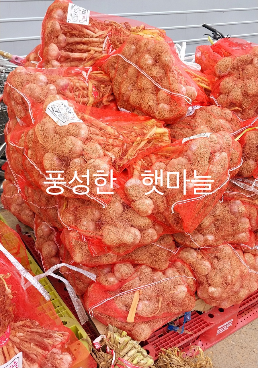대백마트신매점 이미지