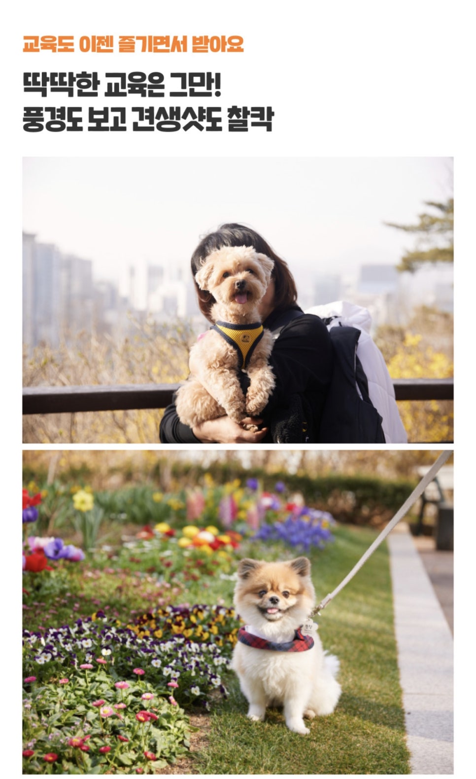 주식회사 산책 이미지