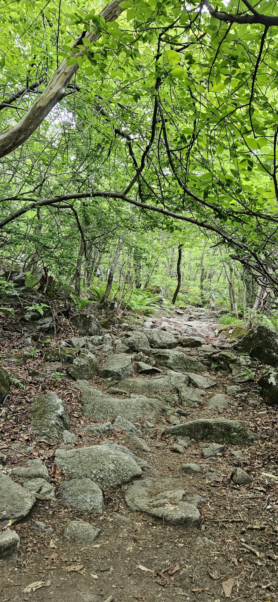 소백산국립공원 천동계곡코스 이미지