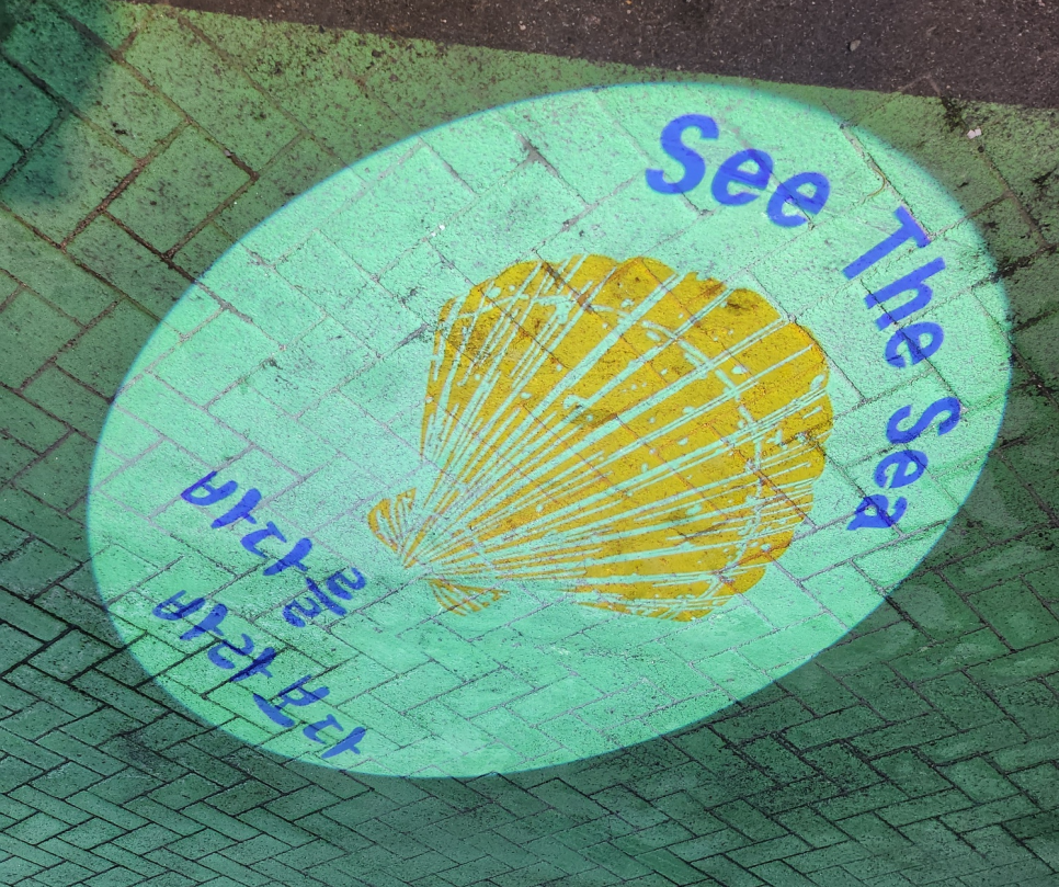 씨더씨(SEE THE SEA) 이미지