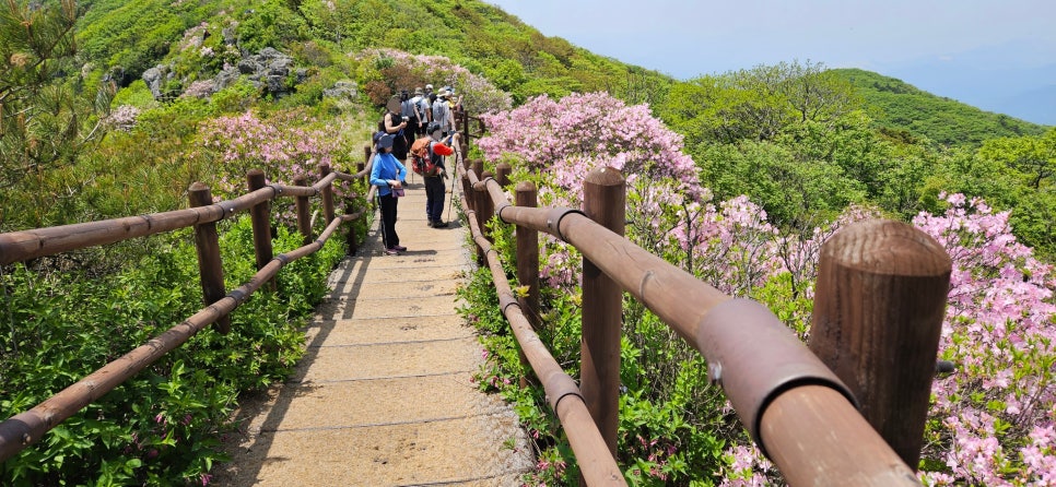 소백산국립공원 천동계곡코스 이미지