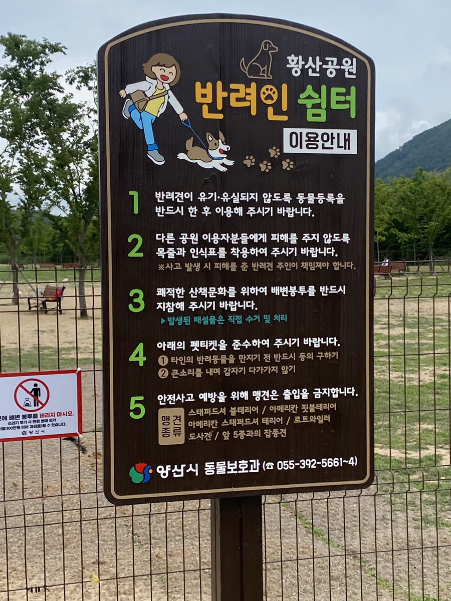 황산애견 이미지