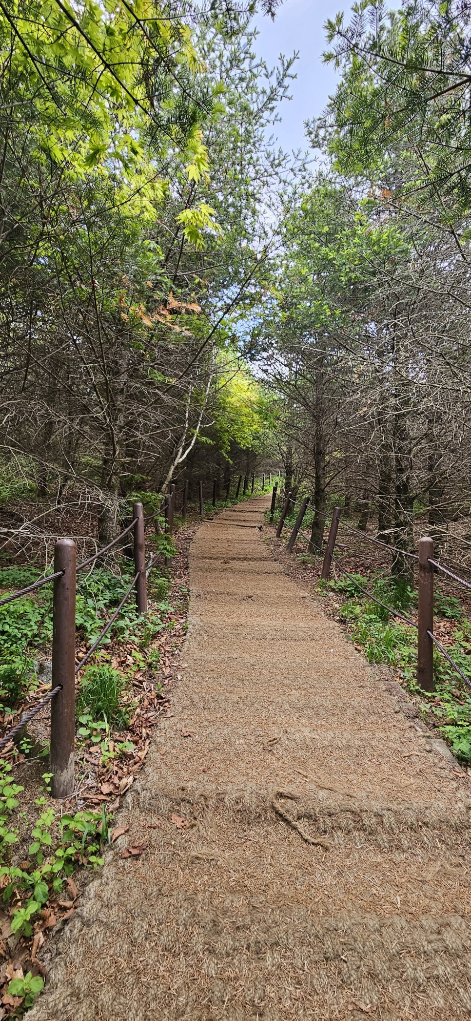 소백산국립공원 천동계곡코스 이미지